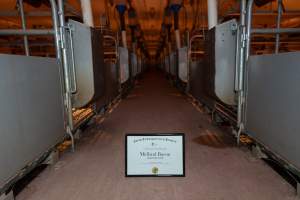 FTP Pig Industry Awards - 2025 - Farm Transparency Project awarded four Victorian piggeries the prize for Outstanding Cruelty to Pigs. Anonymous activists downloaded the certificates from the FTP website and hand-delivered them to the piggeries.
Fourth Place - Midland Bacon: the sexual assault and rape of Olivia the pig, defiantly maintaining their enormous sow stall shed while APL's pretending they don't exist anymore, and for the routine killing of piglets by slamming their heads onto the concrete floor right in front of our hidden cameras. - Captured at Midland Bacon, Carag Carag VIC Australia.