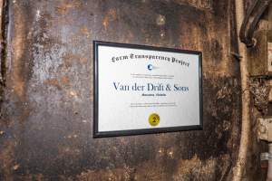 FTP Pig Industry Awards - 2025 - Farm Transparency Project awarded four Victorian piggeries the prize for Outstanding Cruelty to Pigs. Anonymous activists downloaded the certificates from the FTP website and hand-delivered them to the piggeries.
Second Place - Van Der Drift & Sons: This giant piggery was found to be infested with cockroaches and flies, with piglets suffering from mange while another was found with their leg trapped between the metal bars of a farrowing crate floor. The dead sows found dumped outside were, impressively, just the tip of the iceberg, with paperwork indicating that a sow died almost every day last year. - Captured at Van der Drift & Sons Piggery, Macorna VIC Australia.