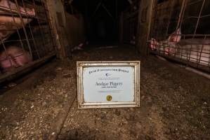 FTP Pig Industry Awards - 2025 - Farm Transparency Project awarded four Victorian piggeries the prize for Outstanding Cruelty to Pigs. Anonymous activists downloaded the certificates from the FTP website and hand-delivered them to the piggeries.
First Place - Andgar Piggery: Pigs drowning in their own waste; a pile of rotting corpses dumped in a pen inside one of the sheds, with live pigs stuck amongst them; large necrotic wounds; the list goes on. But Andgar wanted to be certain, to really make sure they clinched this award, and so last month, two sheds caught fire and around 350 pigs burned to death. - Captured at Andgar Piggery, Dublin SA Australia.