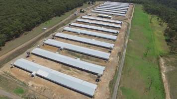 Drone flyover - Captured at Inghams Broiler Farm, Bargo NSW Australia.