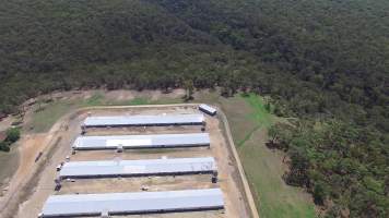 Drone flyover - Captured at Inghams Broiler Farm, Bargo NSW Australia.