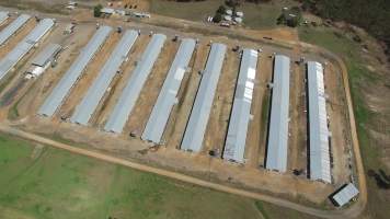 Drone flyover - Captured at Inghams Broiler Farm, Bargo NSW Australia.