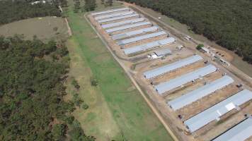 Drone flyover - Captured at Inghams Broiler Farm, Bargo NSW Australia.