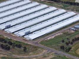 Drone flyover of broiler (meat) chicken farm - Captured at Pavilion Farm 6, Anakie VIC Australia.
