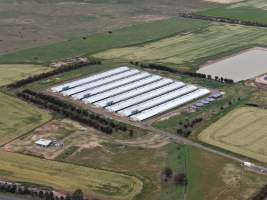 Drone flyover of broiler (meat) chicken farm - Captured at Pavilion Farm 6, Anakie VIC Australia.