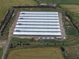 Drone flyover of broiler (meat) chicken farm - Captured at Pavilion Farm 6, Anakie VIC Australia.