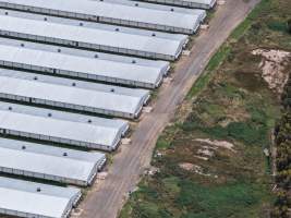 Drone flyover of broiler (meat) chicken farm - Captured at Pavilion Farm 6, Anakie VIC Australia.