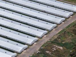 Drone flyover of broiler (meat) chicken farm - Captured at Pavilion Farm 6, Anakie VIC Australia.