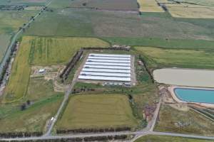 Drone flyover of broiler (meat) chicken farm - Captured at Pavilion Farm 6, Anakie VIC Australia.