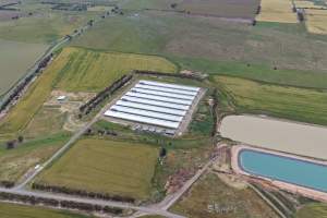 Drone flyover of broiler (meat) chicken farm - Captured at Pavilion Farm 6, Anakie VIC Australia.