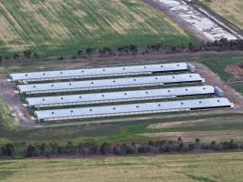 Drone flyover of broiler (meat) chicken farm - Captured at Pavilion Farm 1, Anakie VIC Australia.