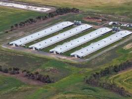 Drone flyover of broiler (meat) chicken farm - Captured at Pavilion Farm 1, Anakie VIC Australia.
