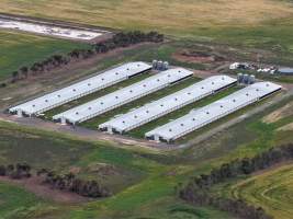Drone flyover of broiler (meat) chicken farm - Captured at Pavilion Farm 1, Anakie VIC Australia.