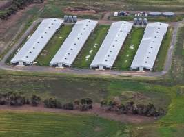 Drone flyover of broiler (meat) chicken farm - Captured at Pavilion Farm 1, Anakie VIC Australia.