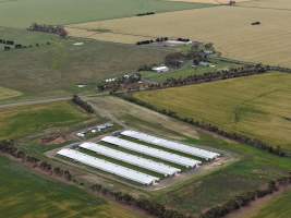 Drone flyover of broiler (meat) chicken farm - Captured at Pavilion Farm 1, Anakie VIC Australia.
