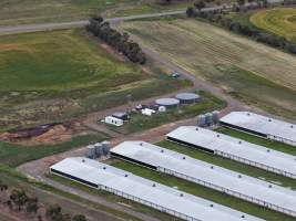 Drone flyover of broiler (meat) chicken farm - Captured at Pavilion Farm 1, Anakie VIC Australia.