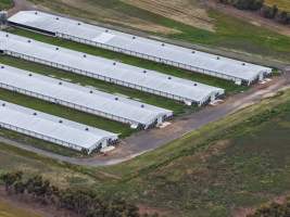 Drone flyover of broiler (meat) chicken farm - Captured at Pavilion Farm 1, Anakie VIC Australia.