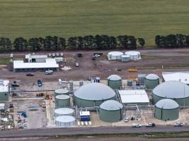 Drone flyover of broiler (meat) chicken farm - Captured at Pavilion Farm 1, Anakie VIC Australia.