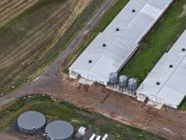 Drone flyover of broiler (meat) chicken farm - Captured at Pavilion Farm 1, Anakie VIC Australia.