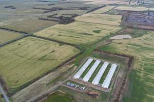 Drone flyover of broiler (meat) chicken farm - Captured at Pavilion Farm 1, Anakie VIC Australia.