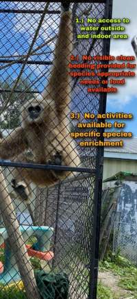 Dawn Animal Agency Evidence - Via Justice for Fritha - Captured at Dawn Animal Agency, Westtown NY United States.