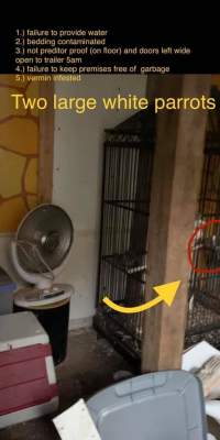 Dawn Animal Agency Evidence - Via Justice for Fritha - Captured at Dawn Animal Agency, Westtown NY United States.