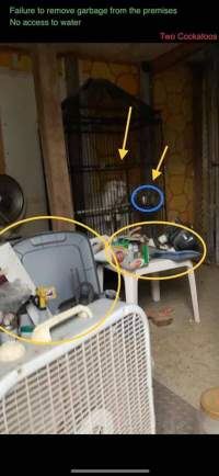 Dawn Animal Agency Evidence - Via Justice for Fritha - Captured at Dawn Animal Agency, Westtown NY United States.