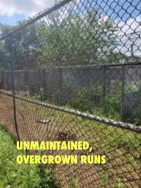 Dawn Animal Agency Evidence - Via Justice for Fritha - Captured at Dawn Animal Agency, Westtown NY United States.