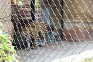 Turtle Back Zoo - Photos taken at the Turtle Back Zoo in West Orange, New Jersey. - Captured at Turtle Back Zoo, West Orange NJ United States.