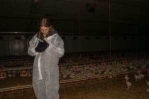 Broiler rescue 2025 - On October 29th, animal rescuer Zoe Rosenberg was convicted of felony conspiracy and multiple misdemeanours for rescuing four sick chickens from a slaughterhouse in California. For saving four lives, she faces up to five years in prison.
In November, investigators from Farm Transparency Project visited an Australian 'broiler' farm to rescue eight 'meat chickens.' Broiler chickens are dumped in long sheds at just one day old. They spend their entire, short lives in the same shed, which becomes more and more filthy and contaminated with ammonia from a build-up of urine and faeces π
Broiler chickens have been selectively bred and genetically manipulated over years to grow at a rate 300 times faster than that of birds bred in the 1960s, reaching 2.2 kilograms in just 35 days. Consequently, broiler chickens experience several health complications that cause them needless suffering and pain π
In modern factory farms, chickens reach slaughter weight at just 5-6 weeks old, at which point they can barely support their own weight. These chickens are just 1-2 weeks old, still young enough to have not fully lost their fluffy yellow baby feathers. Already, some were observed struggling to stand upright and walk.
Meat chickens in total confinement systems are farmed in large sheds. The sizes of the sheds can vary, however typical sheds are 150 meters long and 15 meters wide, housing up to 40,000 chickens in each. The largest sheds can house up to 60,000 broiler chickens. Feed and watering systems in broiler sheds are all automated. On some farms, chickens can go days without being checked on by farmers, living among dead and dying birds whose bodies have failed them before reaching slaughter weight π
These chickens would have been killed by the end of this month. Instead, they'll live out their lives surrounded by love and care. Just like every chicken deserves.
We stand with Zoe to say that animal rescue is not a crime. Saving lives should not mean a prison sentence.