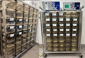 Rodent Housing - Photo of the rodent housing at Guttenberg Information Technologies Center, NJIT in Newark, New Jersey. 
Sourced from their site: https://research.njit.edu/cibm3/animal-satellite-facility-and-behavioral-suite - Captured at Guttenberg Information Technologies Center, NJIT, Newark NJ United States.