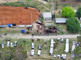 Captured at Yass Show Society - Rodeo Arena, Yass NSW Australia.