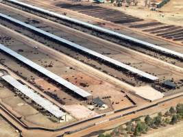 Captured at Gundamain Feedlot, Eugowra NSW Australia.