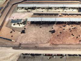 Captured at Gundamain Feedlot, Eugowra NSW Australia.