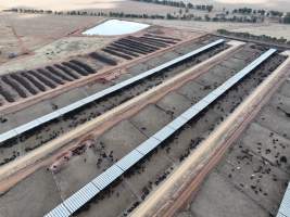Captured at Gundamain Feedlot, Eugowra NSW Australia.
