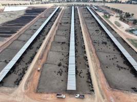 Captured at Gundamain Feedlot, Eugowra NSW Australia.