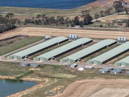 Drone Flyover – Dec 2025 - Captured at Greenfield Poultry, Parwan VIC Australia.
