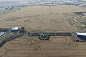 Drone Flyover – Dec 2025 - Captured at Pavilion Farm 5, Anakie VIC Australia.