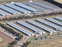 Drone Flyover – Dec 2025 - Captured at Pavilion Farm 2, Anakie VIC Australia.