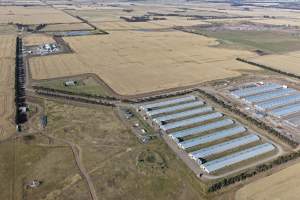 Drone Flyover – Dec 2025 - Captured at Pavilion Farm 2, Anakie VIC Australia.