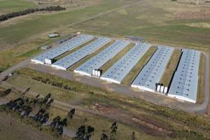 Drone Flyover – Dec 2025 - Captured at Pavilion Farm 4, Anakie VIC Australia.