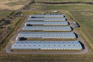 Drone Flyover – Dec 2025 - Captured at Pavilion Farm 4, Anakie VIC Australia.