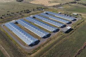 Drone Flyover – Dec 2025 - Captured at Pavilion Farm 4, Anakie VIC Australia.