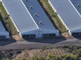 Drone Flyover – Dec 2025 - Captured at Pavilion Farm 6, Anakie VIC Australia.