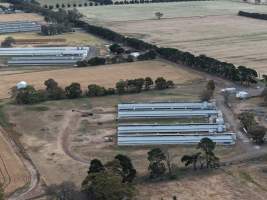 Drone Flyover – Dec 2025 - Captured at Turi Foods Farm 1 (breeder farm), Bannockburn VIC Australia.