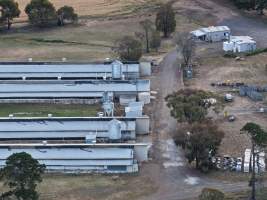 Drone Flyover – Dec 2025 - Captured at Turi Foods Farm 1 (breeder farm), Bannockburn VIC Australia.
