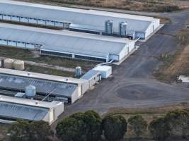 Drone Flyover – Dec 2025 - Captured at Turi Foods Farm 2 (breeder farm), Bannockburn VIC Australia.