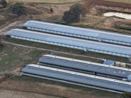 Drone Flyover – Dec 2025 - Captured at Turi Foods Farm 2 (breeder farm), Bannockburn VIC Australia.