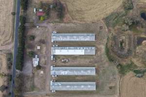 Drone Flyover – Dec 2025 - Captured at Turi Foods Farm 3 (breeder farm), Bannockburn VIC Australia.