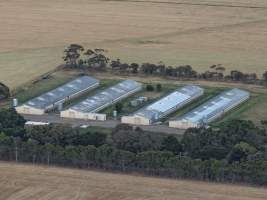 Drone Flyover – Dec 2025 - Captured at Turi Foods Farm 5 (breeder farm), Bannockburn VIC Australia.